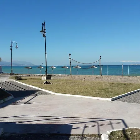 Holly Beach 公寓